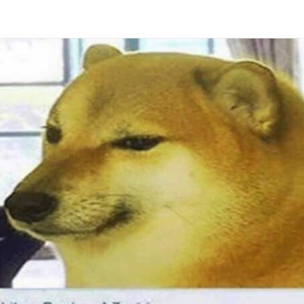 Meet your Posher, Luka